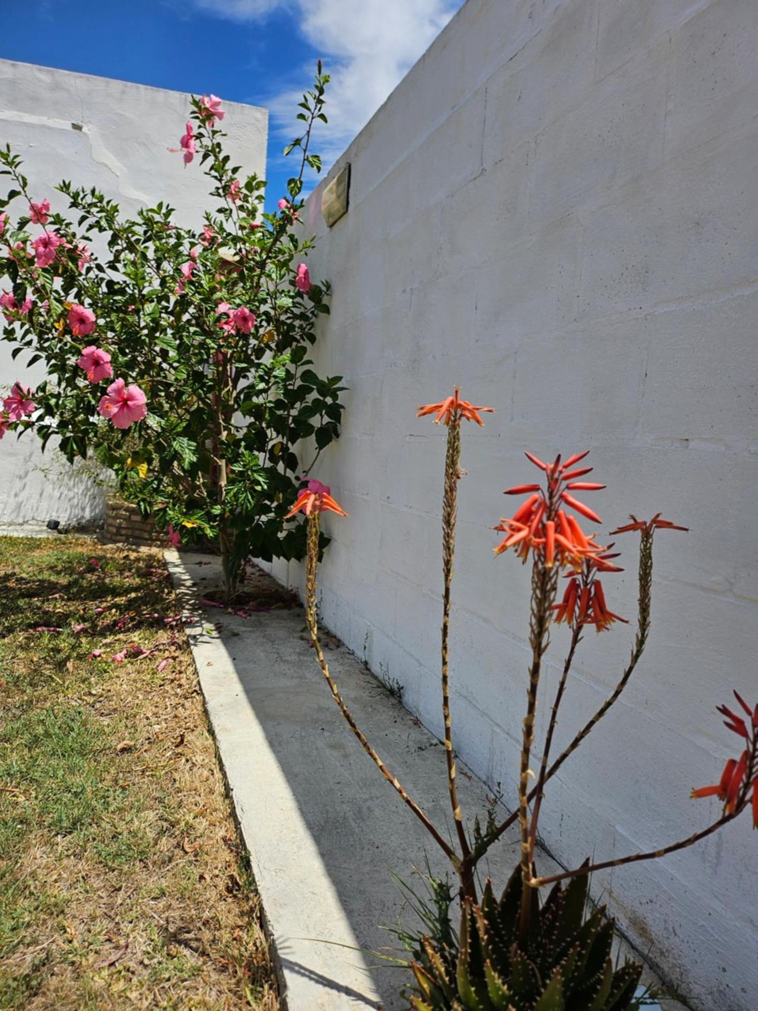 Villa Nonina Chiclana de la Frontera Luaran gambar